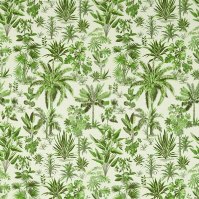 Clarke & Clarke Malindi Fabric in Palm